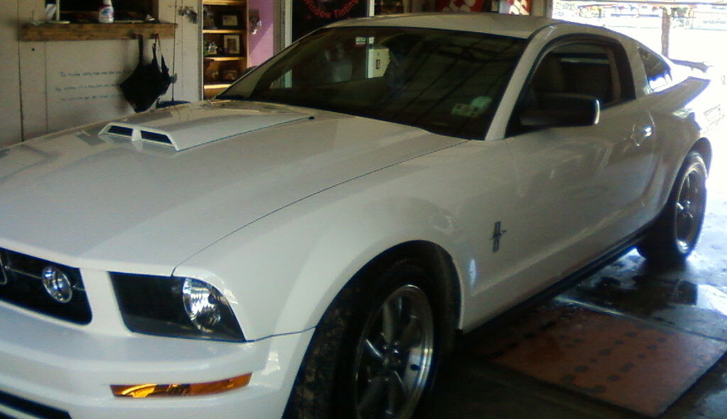 Mustang